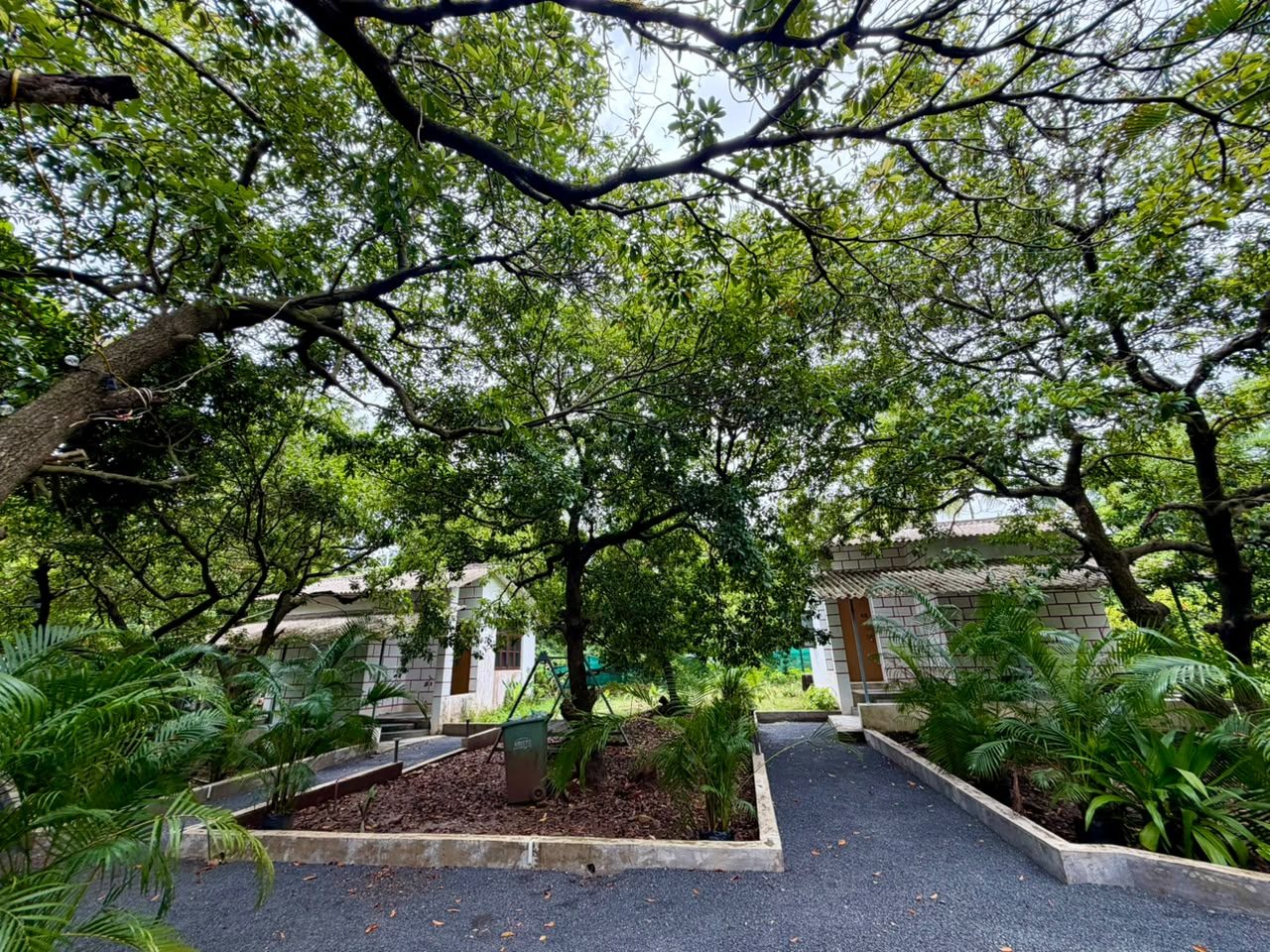 Wake up amidst lush greenery